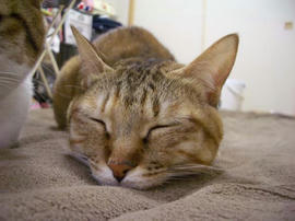 IMGP12856.jpg