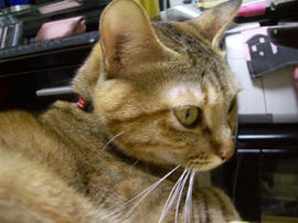 IMGP12870b.jpg