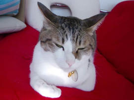 IMGP12904.jpg