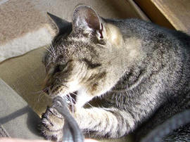 IMGP12989.jpg