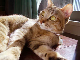 IMGP13130.jpg