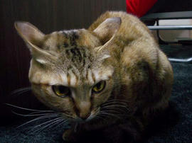 IMGP13287.jpg