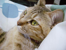 IMGP13331.jpg