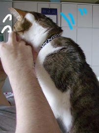 IMGP13413.jpg