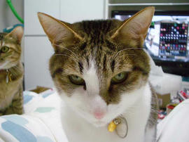IMGP13499.jpg