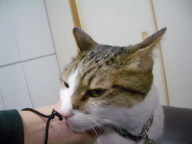IMGP13513.jpg