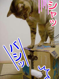 IMGP13521.jpg