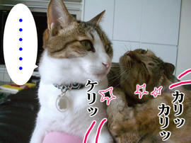IMGP13679.jpg