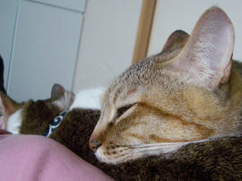 IMGP13684.jpg
