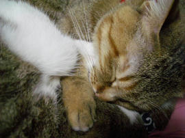 IMGP13686.jpg