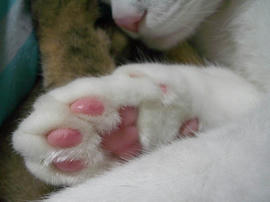 IMGP13713.jpg
