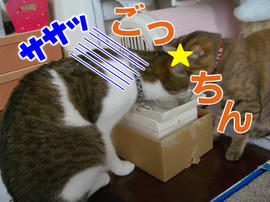 IMGP13736.jpg