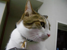IMGP13750.jpg
