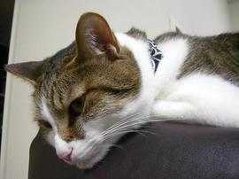 IMGP13784.jpg