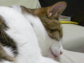 IMGP13840.jpg