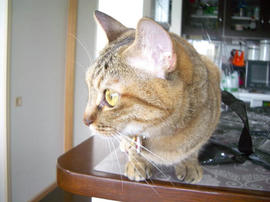 IMGP13954.jpg