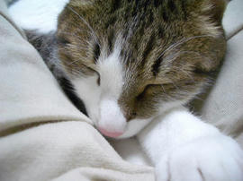 IMGP13963.jpg