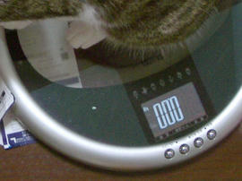 IMGP14013.jpg