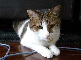IMGP14014.jpg