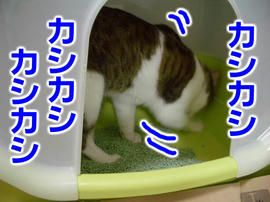 IMGP14023.jpg