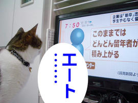 IMGP14041.jpg