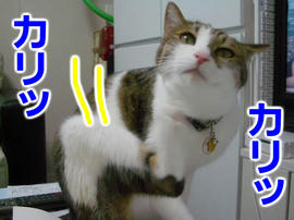 IMGP14043.jpg
