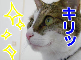 IMGP14044.jpg
