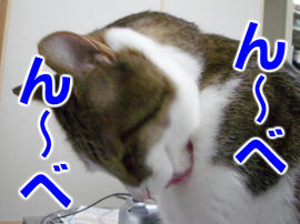 IMGP14045.jpg