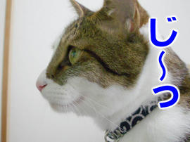 IMGP14046.jpg