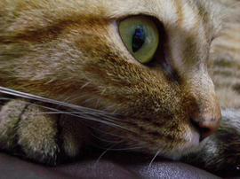 IMGP14058.jpg