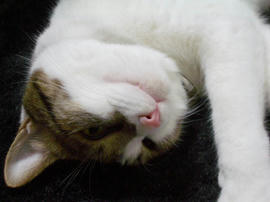 IMGP14076.jpg
