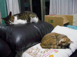 IMGP14123.jpg