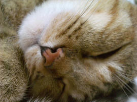 IMGP14125.jpg