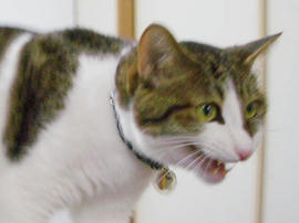 IMGP14139.jpg