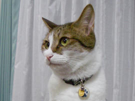 IMGP14153.jpg