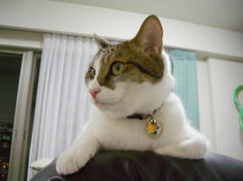 IMGP14210.jpg