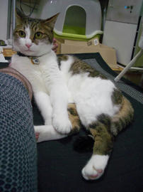 IMGP14259.jpg