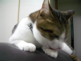 IMGP14375.jpg