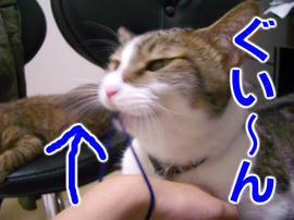 IMGP14417.jpg