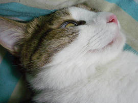 IMGP14431.jpg