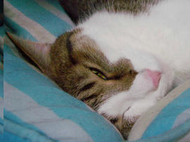 IMGP14425.jpg