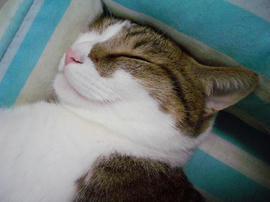 IMGP14454.jpg