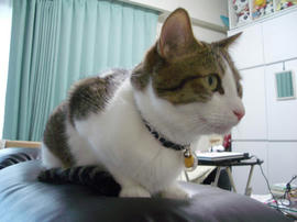 IMGP14476.jpg