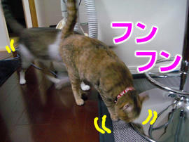 IMGP14535.jpg