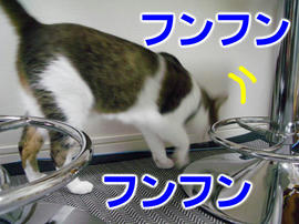 IMGP14536.jpg