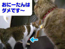 IMGP14583.jpg