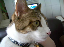 IMGP14613.jpg