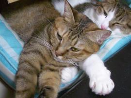 IMGP14615.jpg