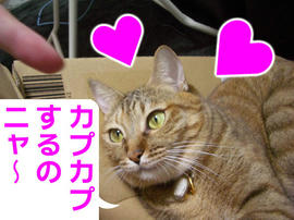 IMGP14644.jpg