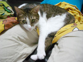 IMGP14657.jpg